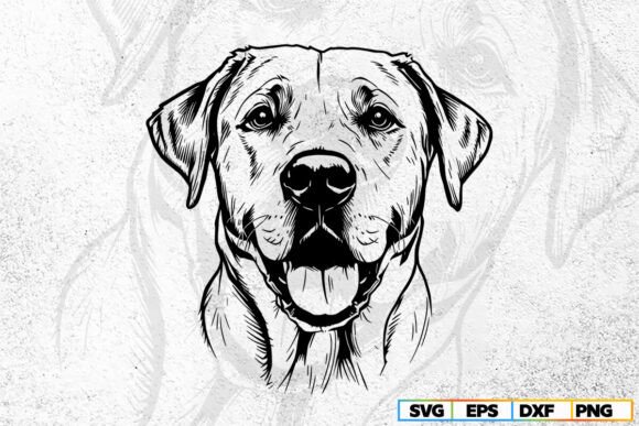 Labrador Retriever Svg, Dog Svg Cricut