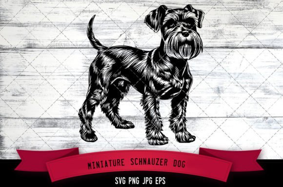 Miniature Schnauzer Dog SVG Review