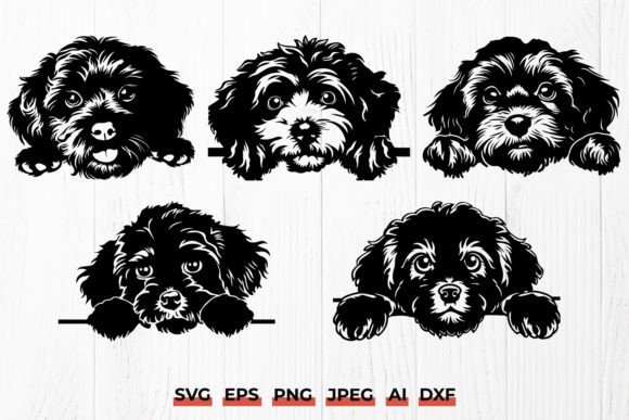 Peeking Cavapoo Dog SVG PNG Bundle