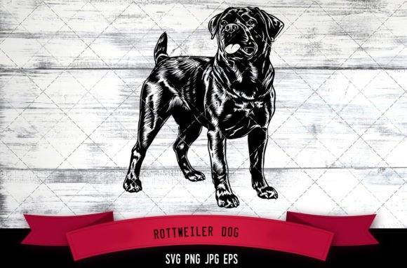Rottweiler Dog SVG, Dog SVG, Logo