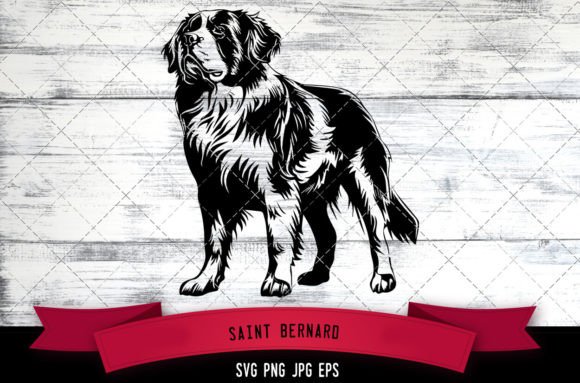 Saint Bernard SVG, Dog SVG, Logo