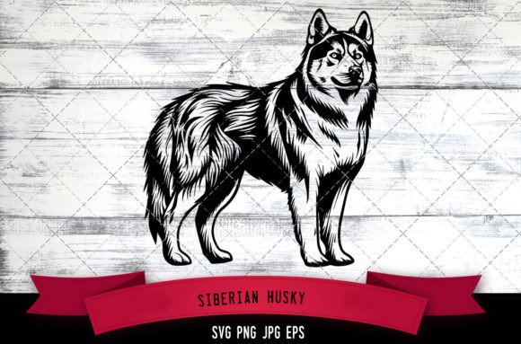 Siberian Husky SVG for Real Projects