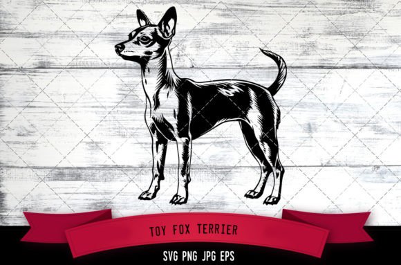 Toy Fox Terrier SVG, Dog SVG, Logo