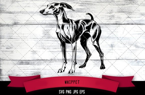 Whippet SVG, Dog SVG, Logo